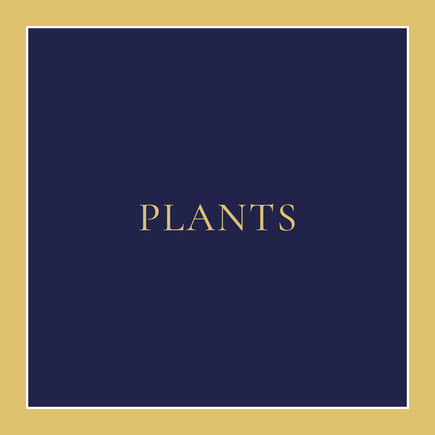 Plants