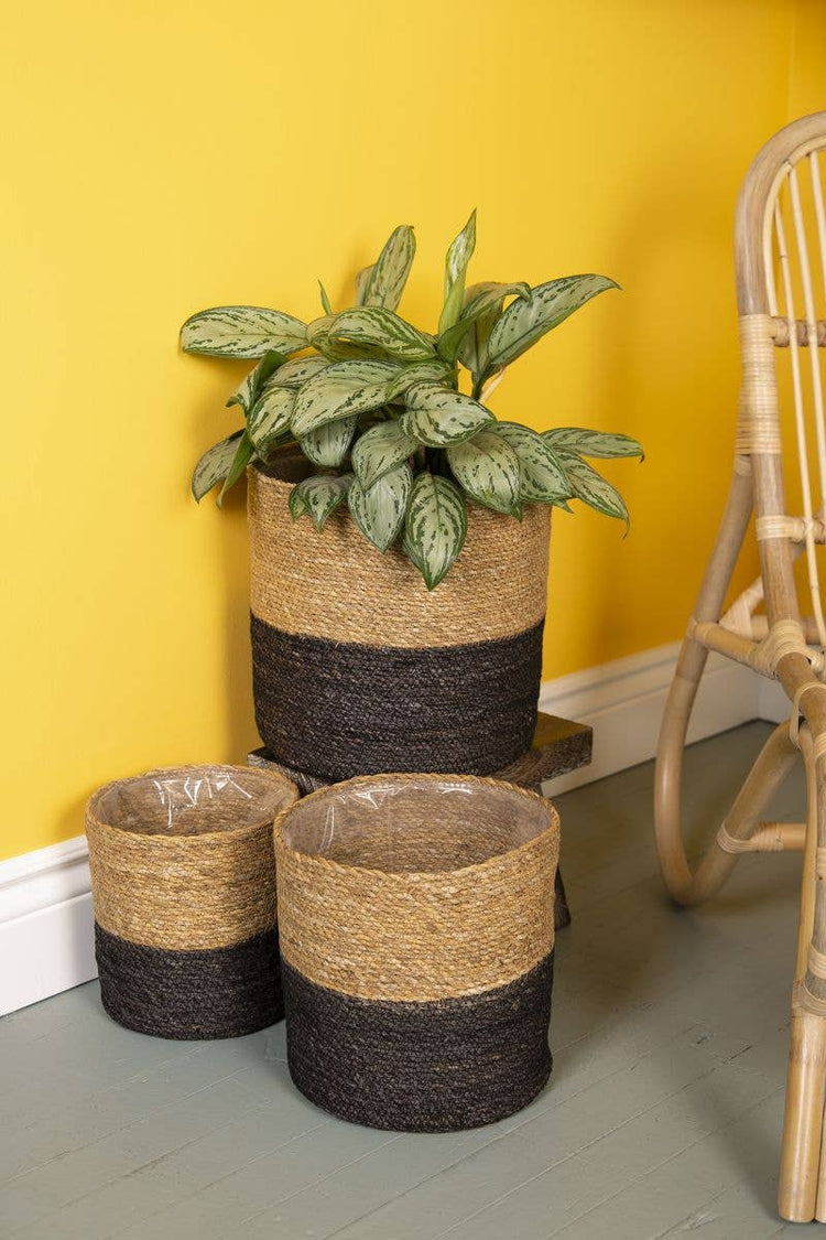 Plant Basket 50/50 Natural Black