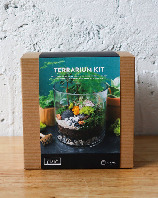 Terrarium Kit : Large Cylinder